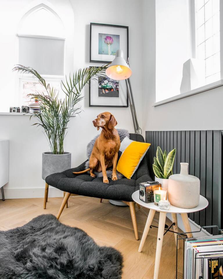 75 Living room radiator ideas