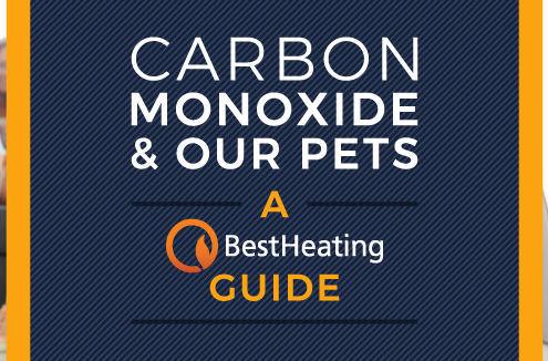 header image for carbon monoxide and pets article