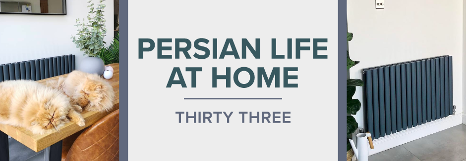 bh-persian-blog persian life at home thirty three blog banner