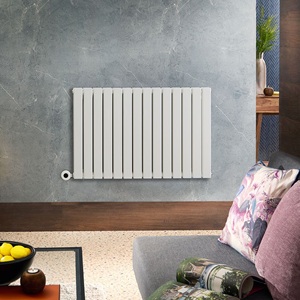 White Electric Designer Radiators